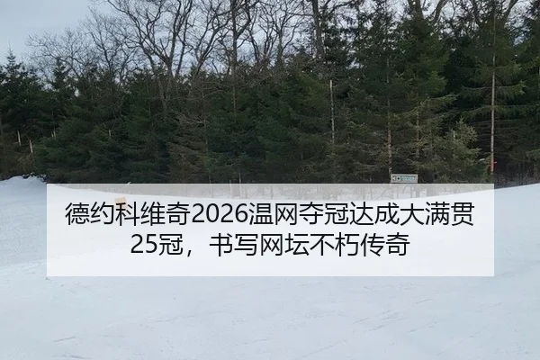 de-yue-ke-wei-qi-wen-wang-duo-guan-da-cheng-da-man-guan-guan-shu-xie-wang-tan-bu-xiu-chuan-qi-2-762.jpg