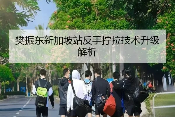 樊振东新加坡站反手拧拉技术升级解析