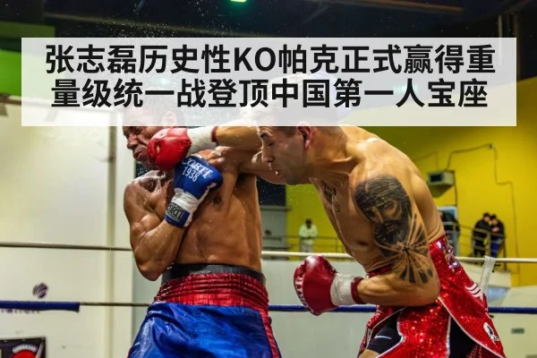 boxing knockout punch
