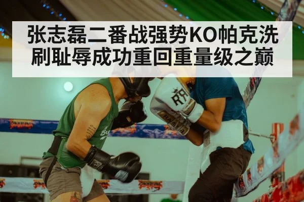张志磊二番战强势KO帕克洗刷耻辱成功重回重量级之巅